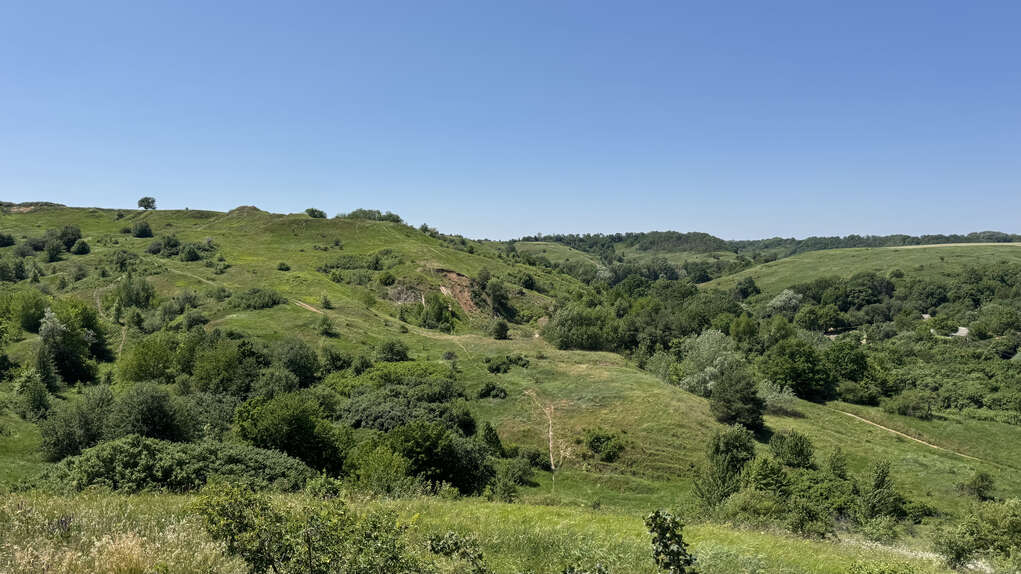Слідами братів Кричевських